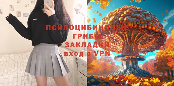 МДМА Белокуриха