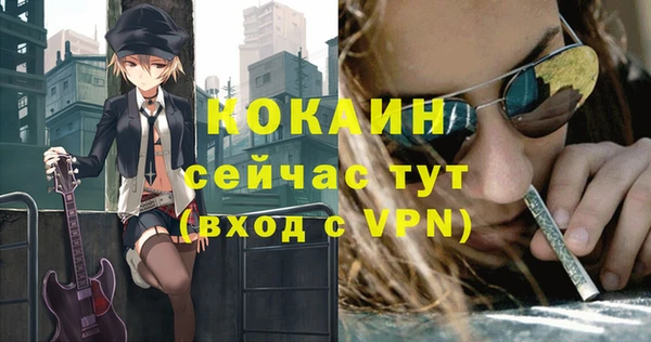 гашик Покров