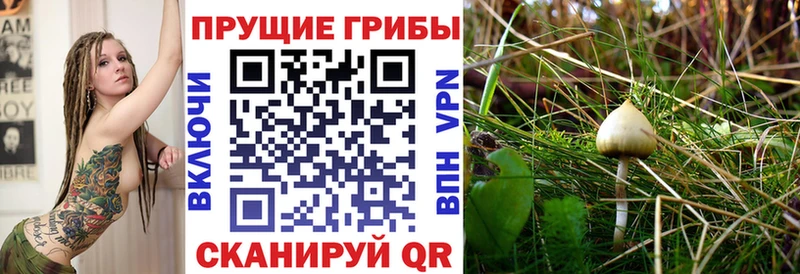Псилоцибиновые грибы Cubensis  Туймазы 